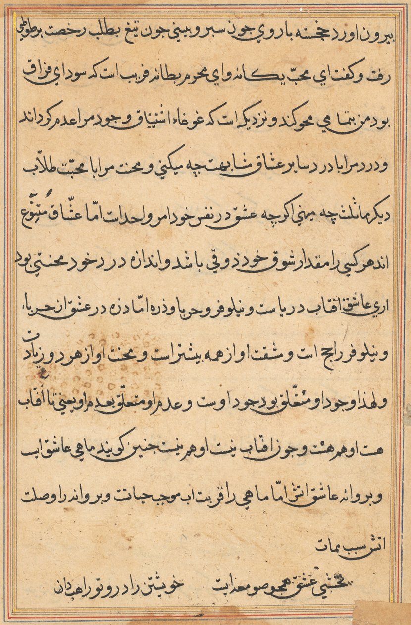 Página de Tales of a Parrot (Tuti-nama): página de texto de Unknown artist
