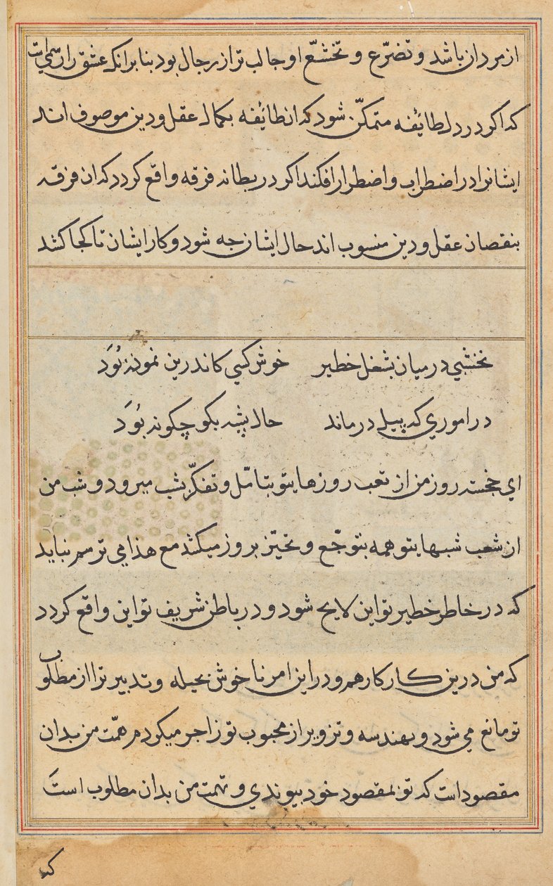 Página de Tales of a Parrot (Tuti-nama): página de texto de Unknown artist