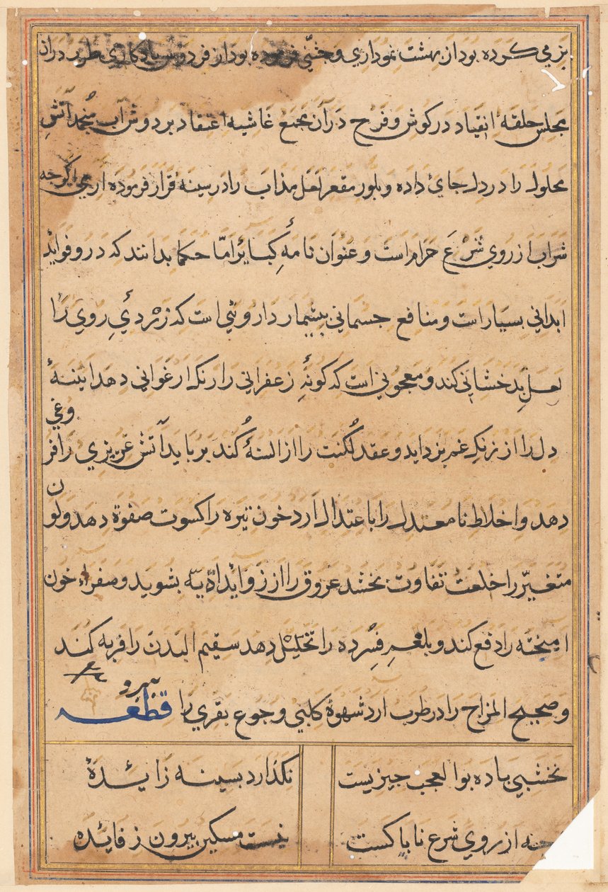 Página de Tales of a Parrot (Tuti-nama): página de texto de Unknown artist