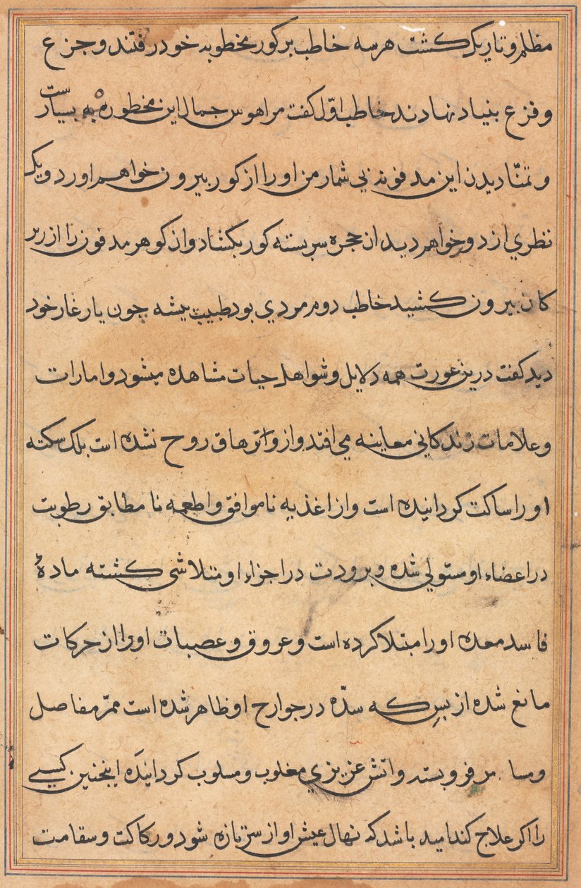 Página de Tales of a Parrot (Tuti-nama): página de texto de Unknown artist