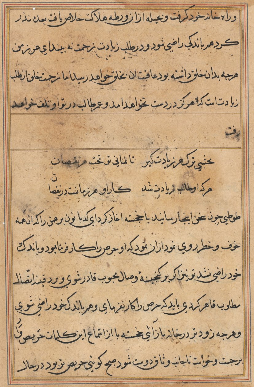 Página de Tales of a Parrot (Tuti-nama): página de texto de Unknown artist