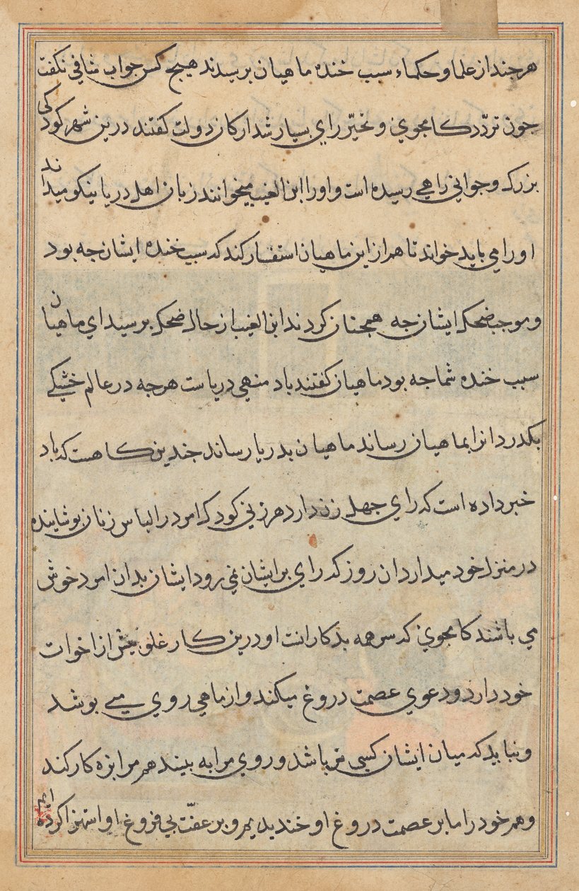 Página de Tales of a Parrot (Tuti-nama): página de texto de Unknown artist