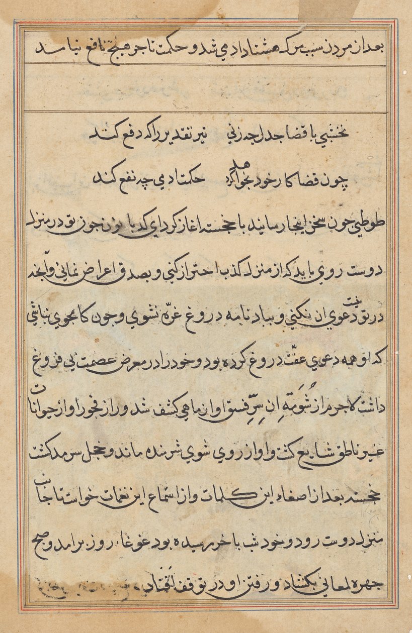 Página de Tales of a Parrot (Tuti-nama): página de texto de Unknown artist