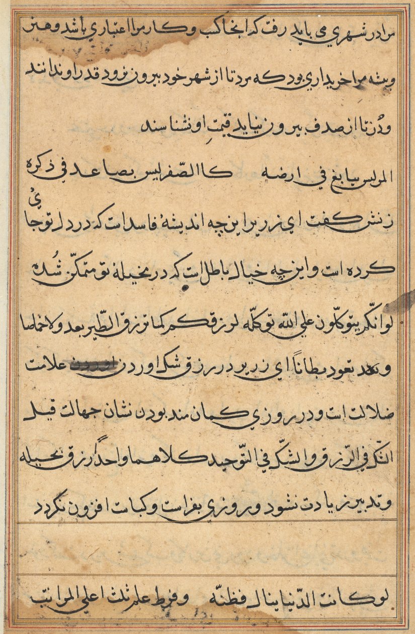 Página de Tales of a Parrot (Tuti-nama): página de texto de Unknown artist