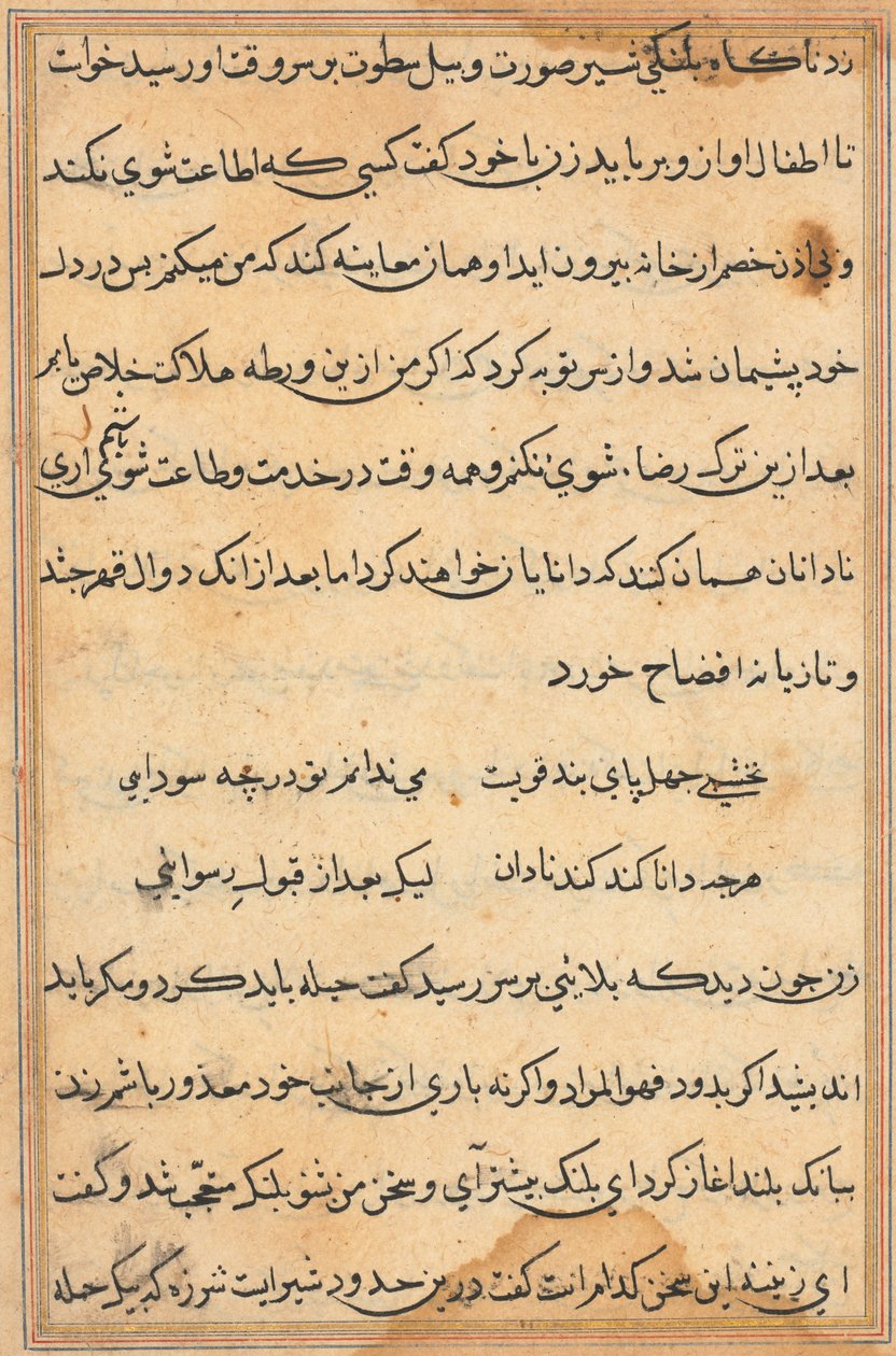 Página de Tales of a Parrot (Tuti-nama): página de texto de Unknown artist