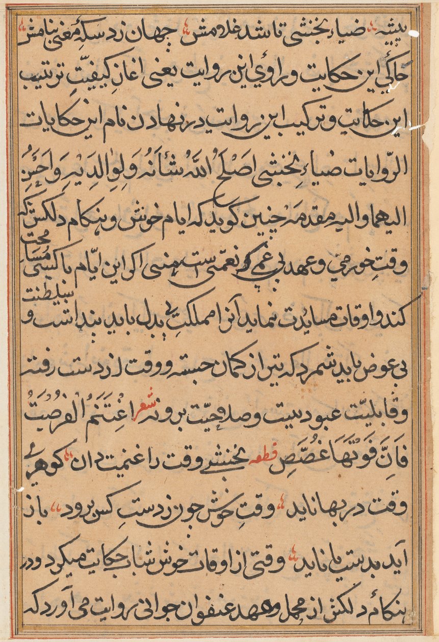 Página de Tales of a Parrot (Tuti-nama): página de texto de Unknown artist