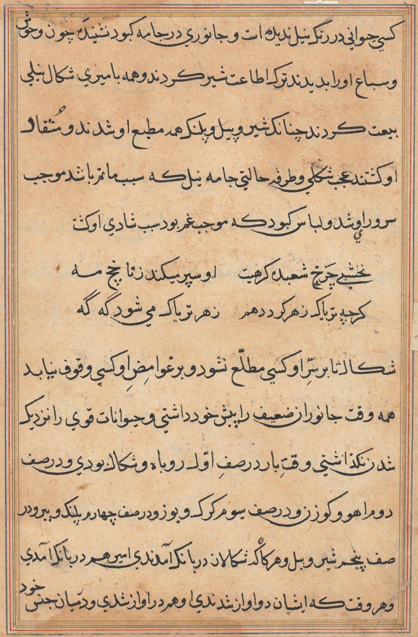Página de Tales of a Parrot (Tuti-nama): página de texto de Unknown artist