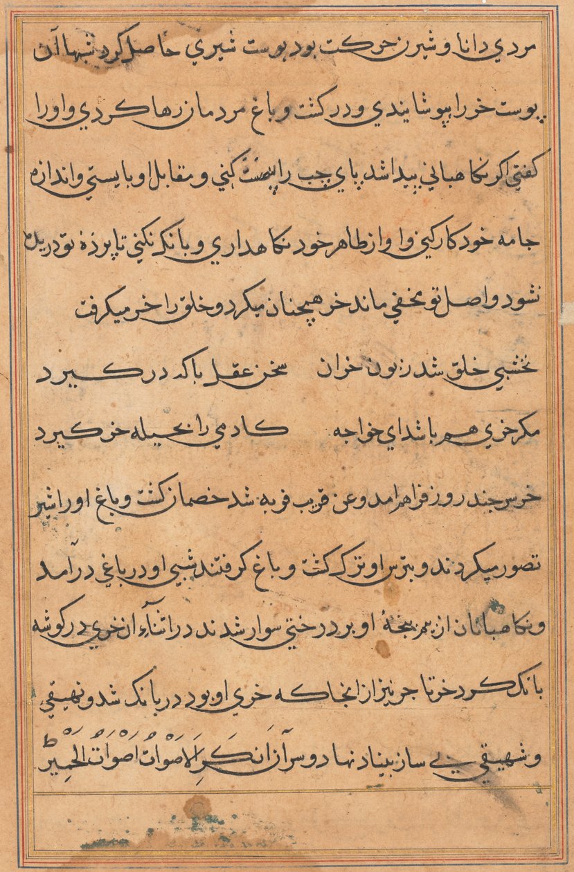 Página de Tales of a Parrot (Tuti-nama): página de texto de Unknown artist