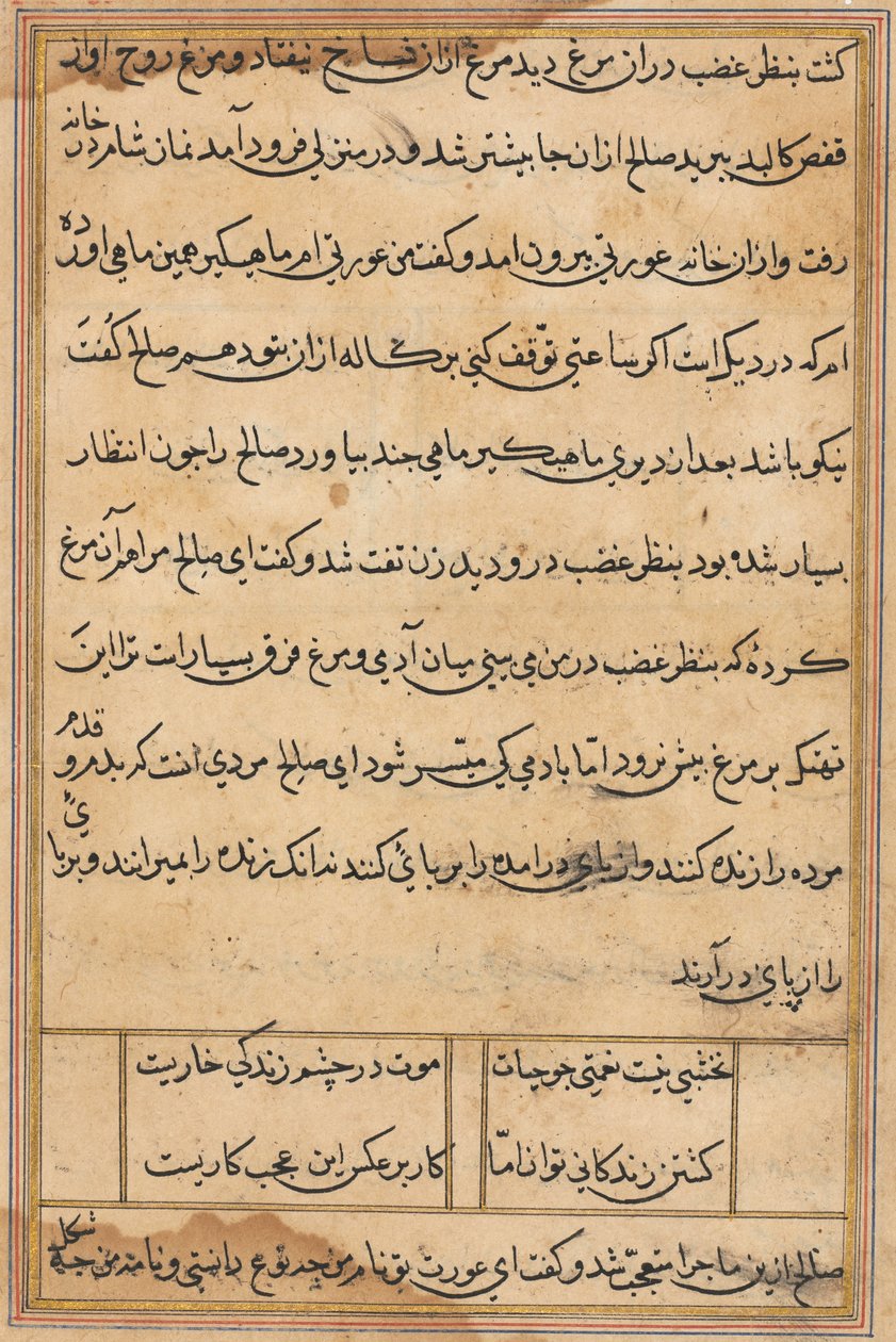 Página de Tales of a Parrot (Tuti-nama): página de texto de Unknown artist