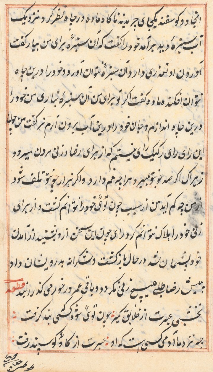 Página de Tales of a Parrot (Tuti-nama): página de texto de Unknown artist