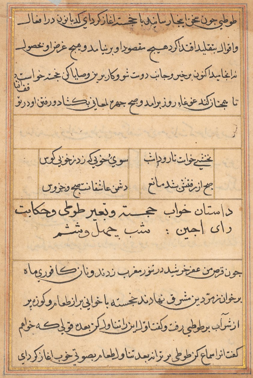Página de Tales of a Parrot (Tuti-nama): página de texto de Unknown artist