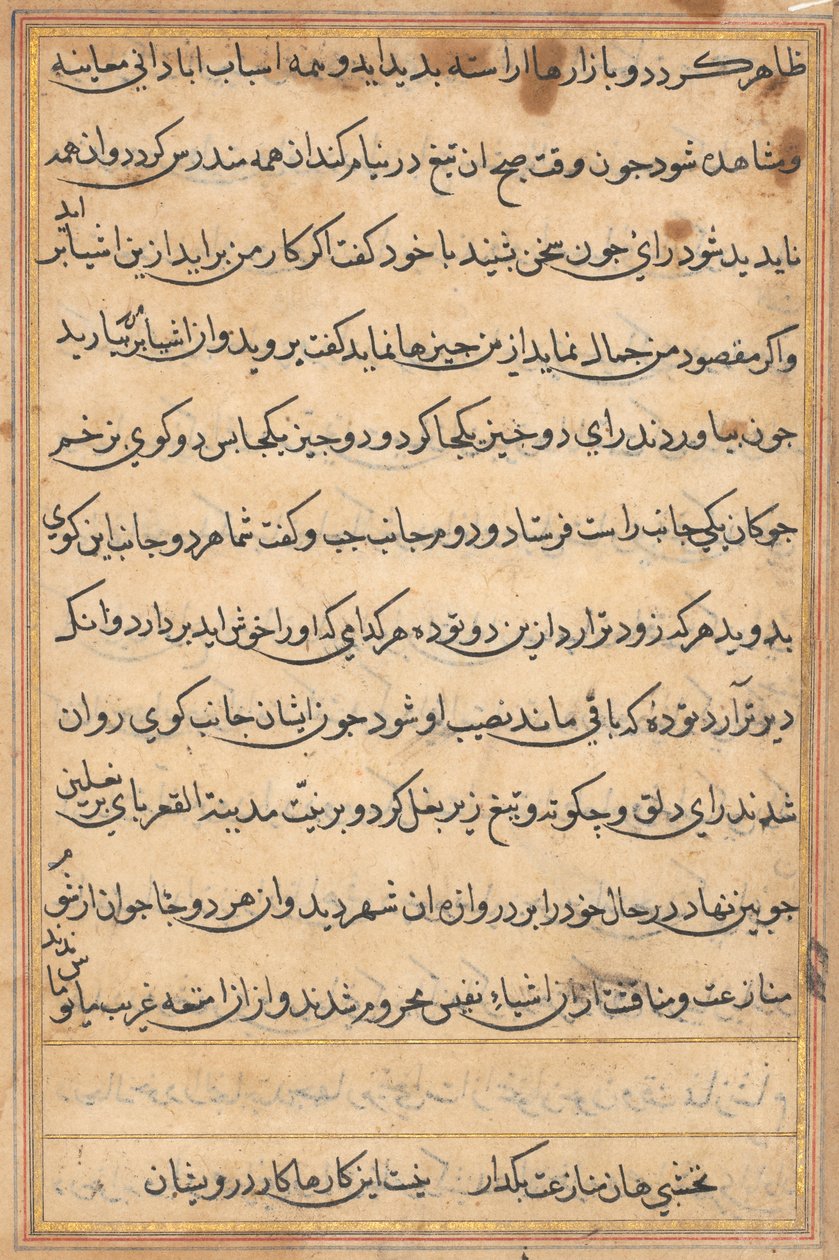 Página de Tales of a Parrot (Tuti-nama): página de texto de Unknown artist