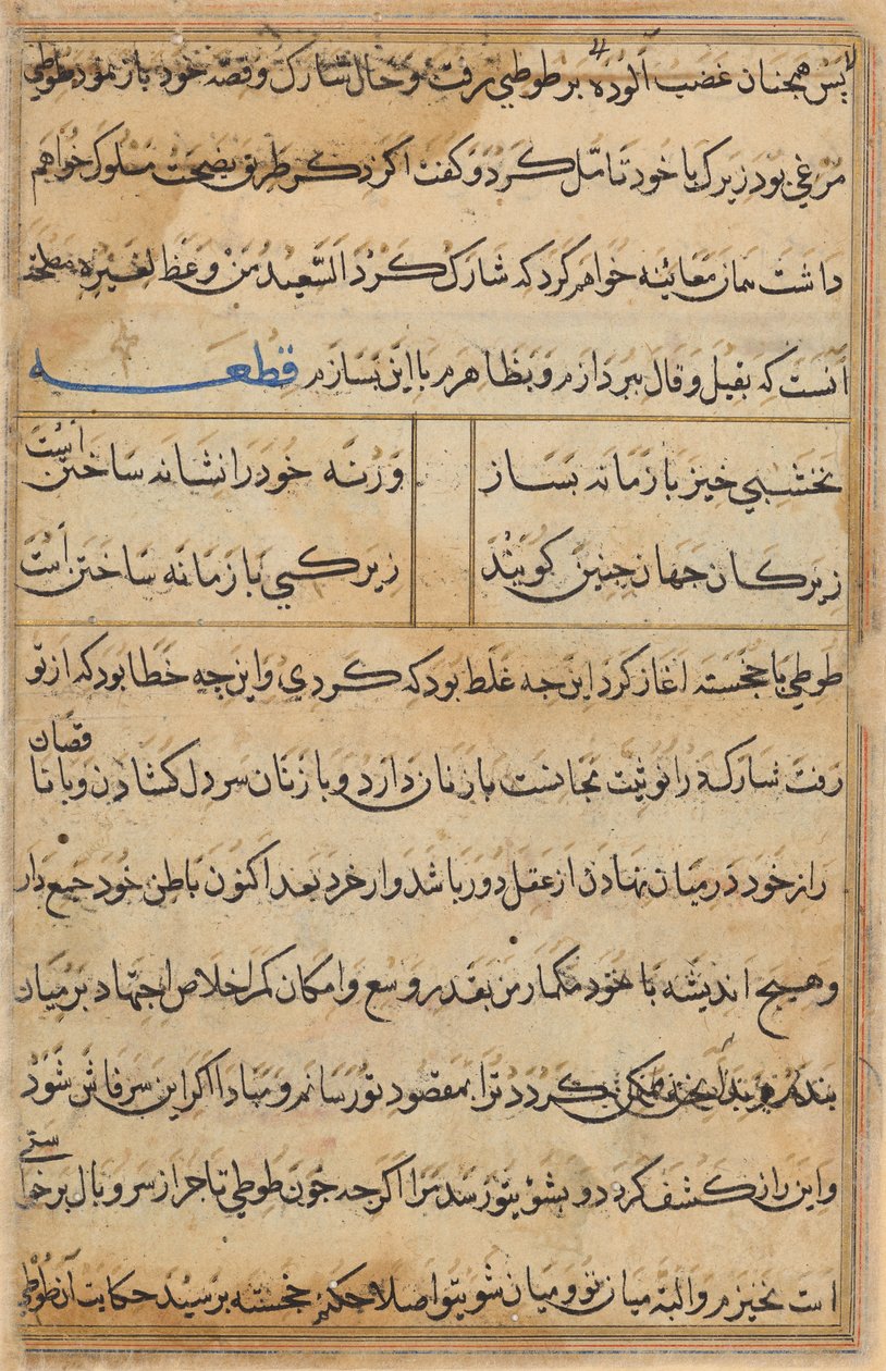 Página de Contos de um papagaio (Tuti-nama): página de texto de Unknown artist