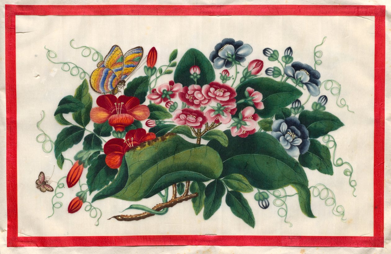 Pintura Cinco do Livro Ilustrado das Flores e Borboletas de Unknown artist