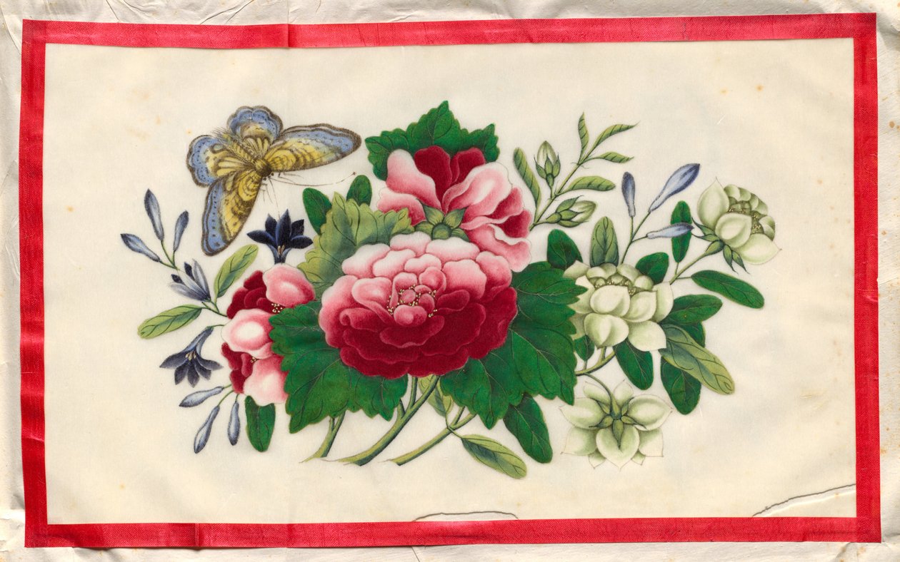 Pintura Nove do Livro Ilustrado das Flores e Borboletas de Unknown artist