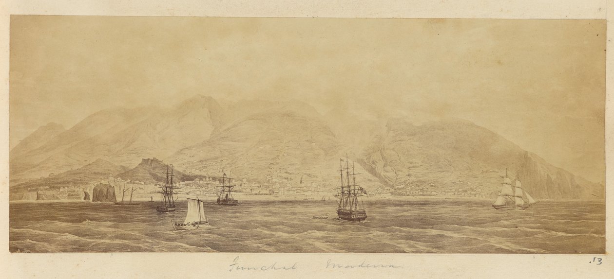 [Panorama do porto, Funchal, Madeira]. de Unknown artist