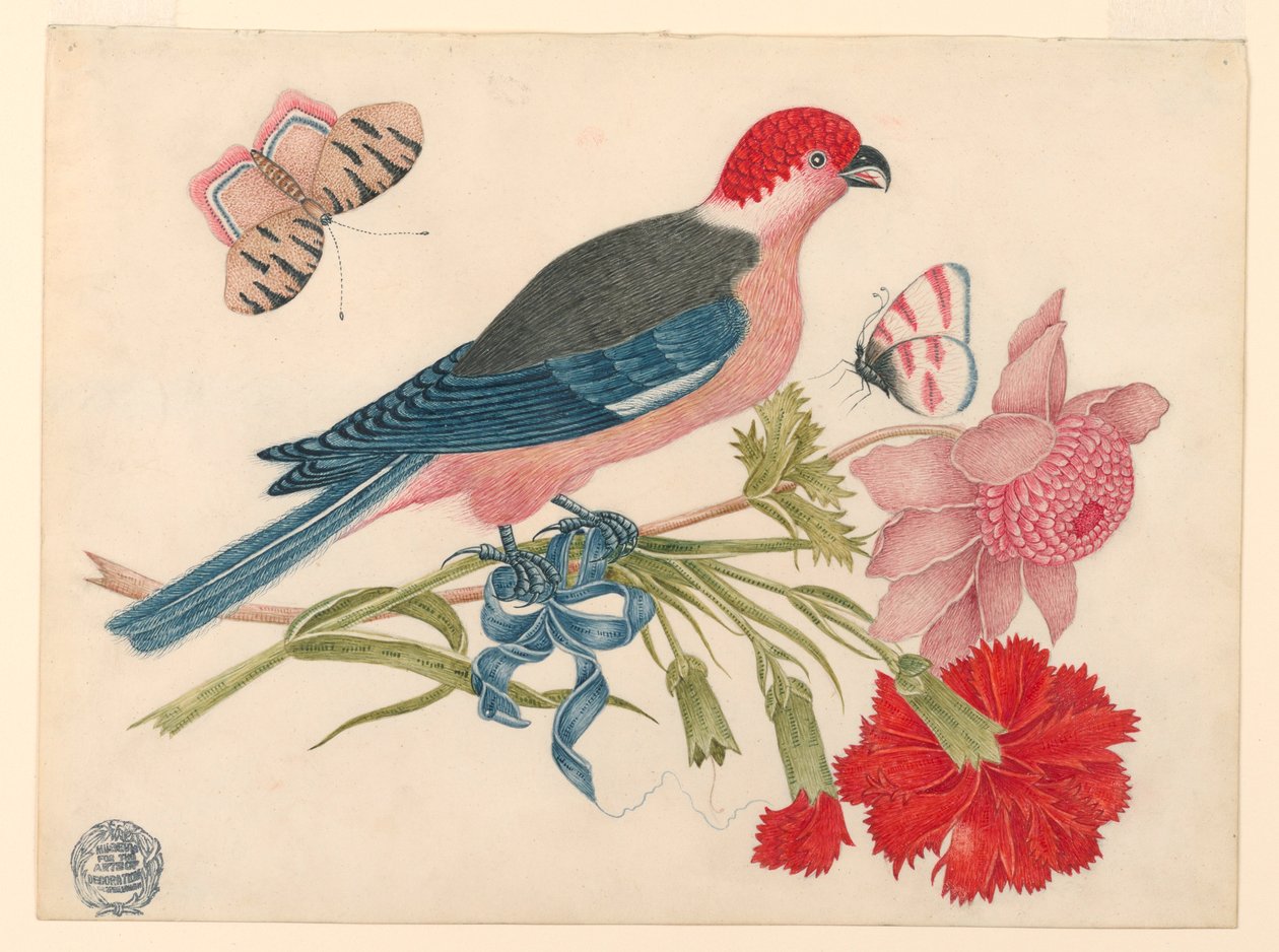 Pássaro rosa, vermelho, azul e preto no galho com flores e borboletas de Unknown artist