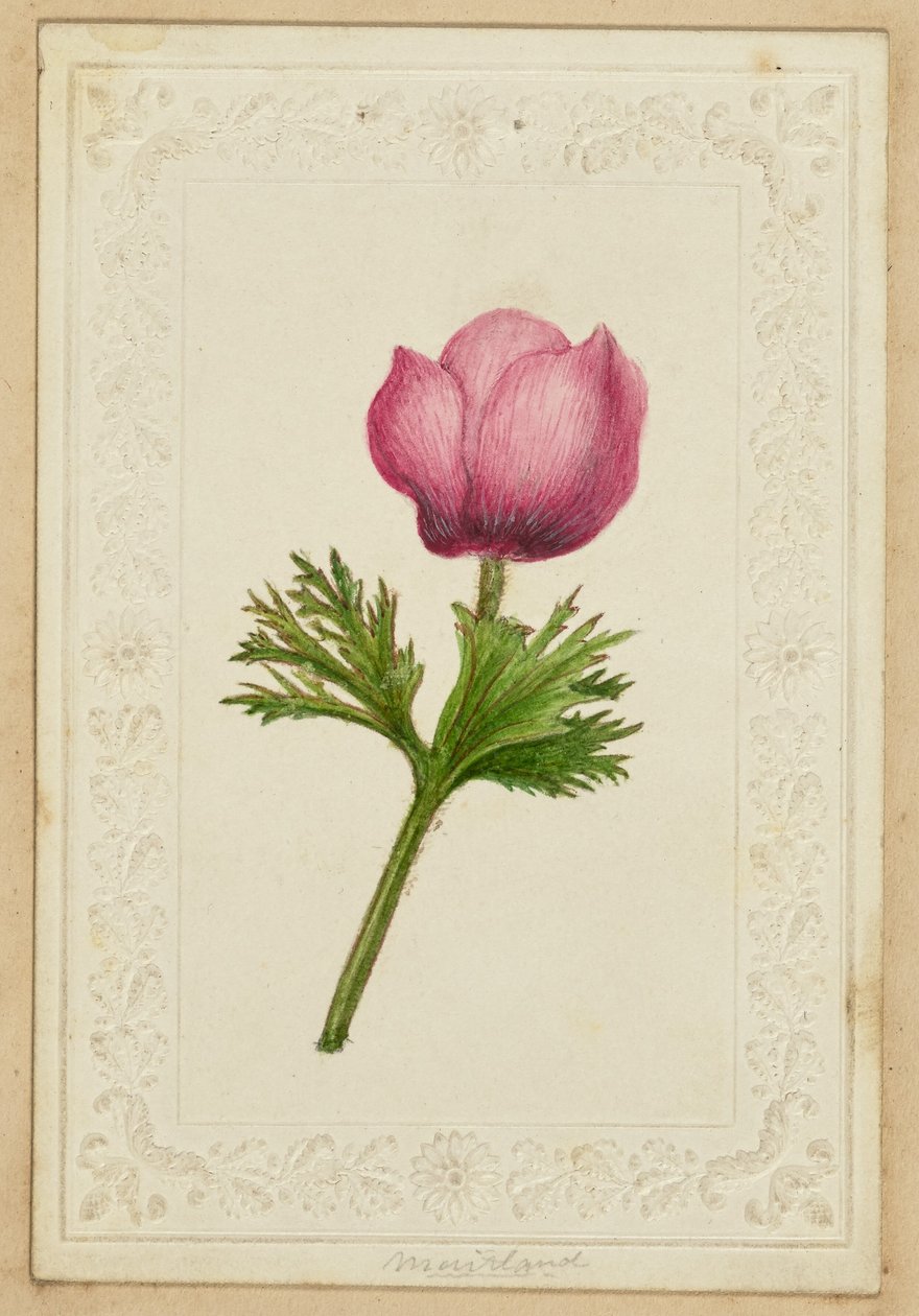 [Cartão de notas com flores cor-de-rosa] de Unknown artist