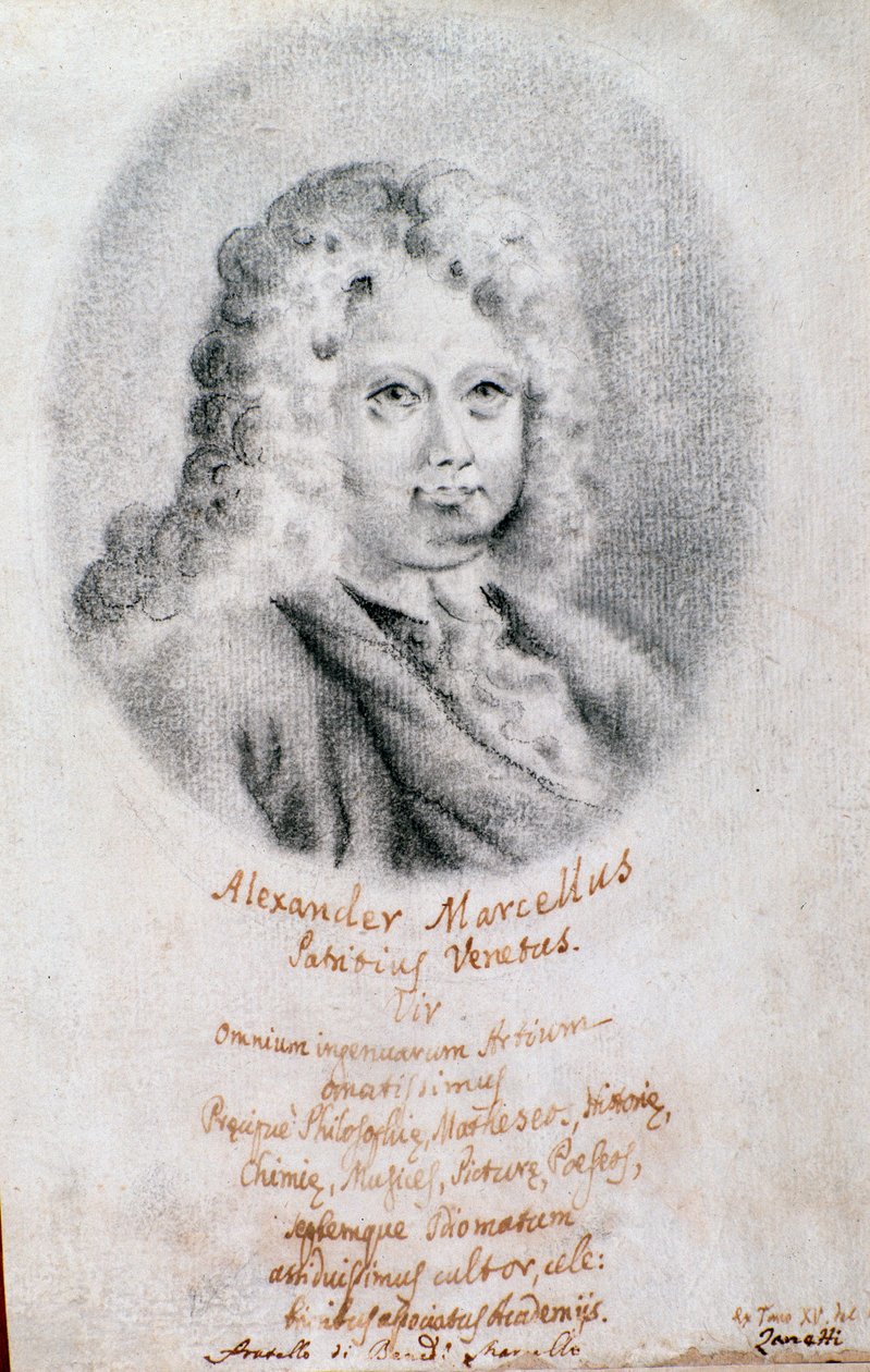 Retrato de Alessandro Marcello (desenho) de Unknown artist