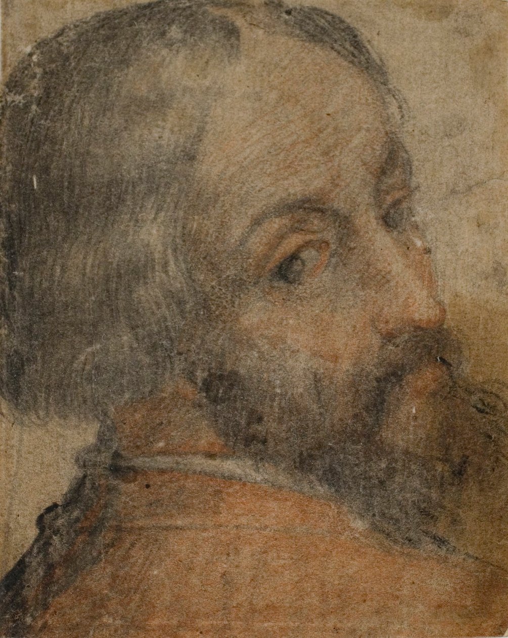 Retrato de um homem barbudo (Lodovico Ariosto) de Unknown artist