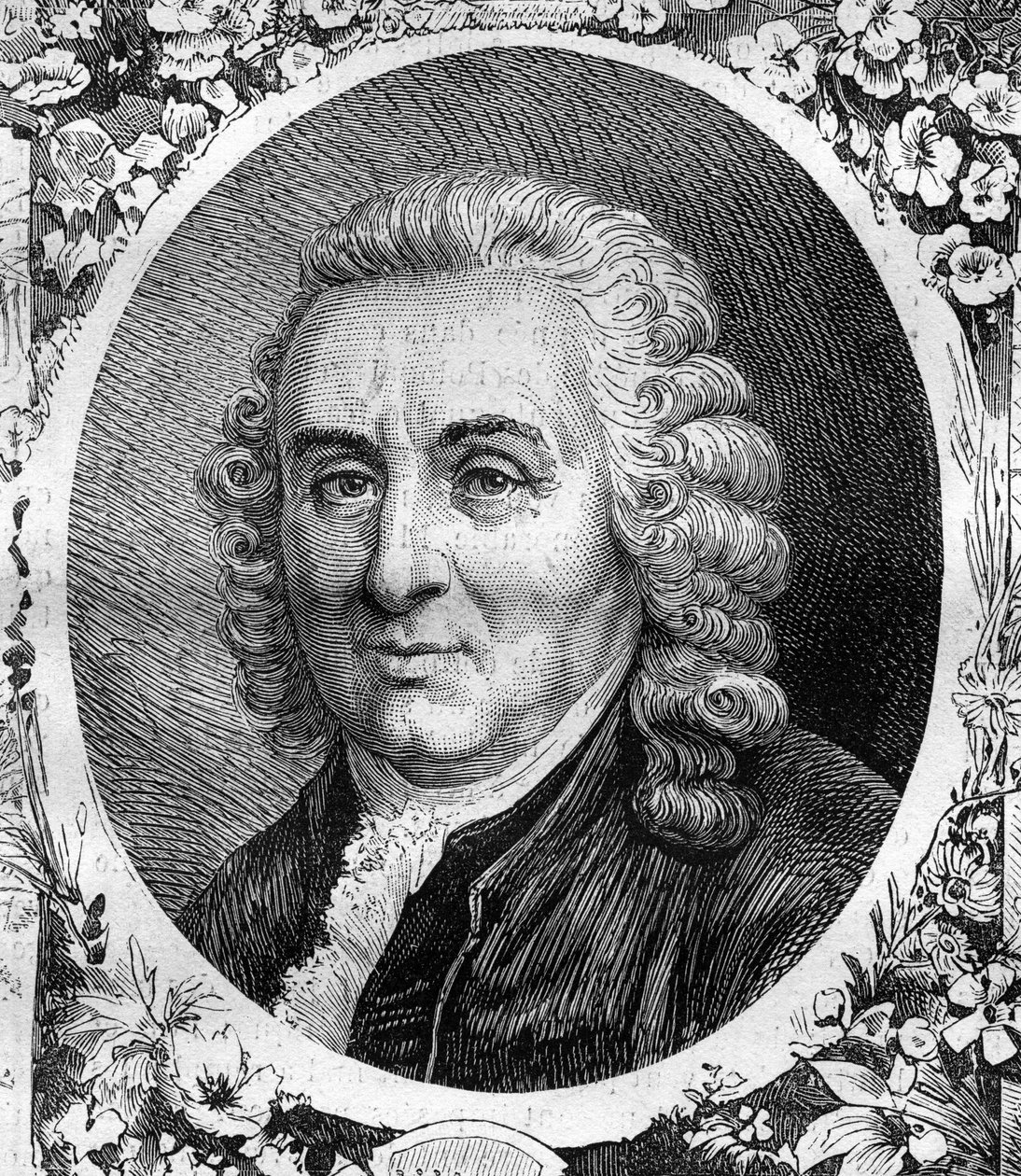 Retrato de Charles Linne (Carl von Linne, Carl Linnaeus) (1707-1778), naturalista sueco. Gravura de 1878. de Unknown artist