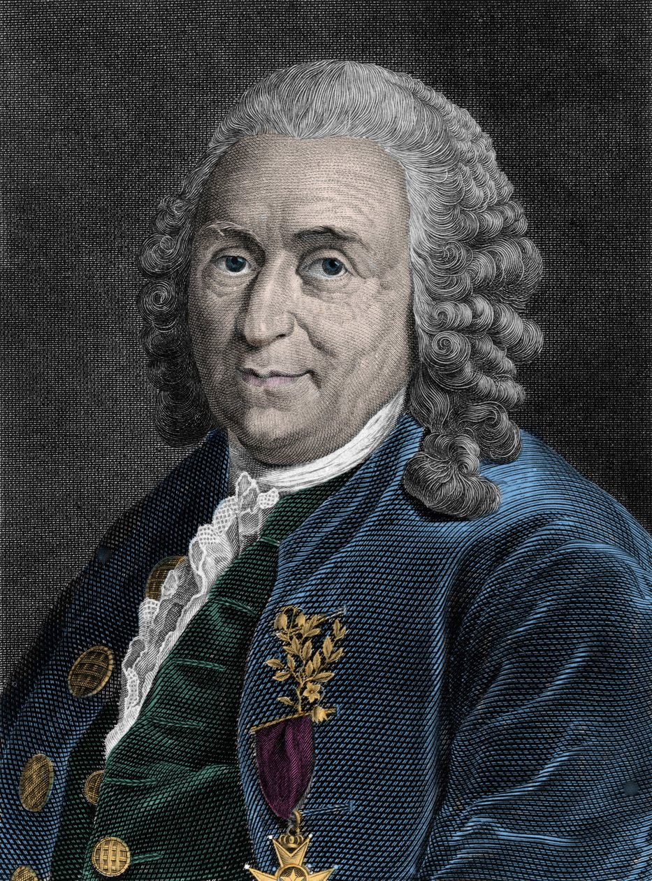 Retrato de Charles Linne (Carl von Linne, Linneus 1707-1778), naturalista sueco. Gravura do século XIX. de Unknown artist