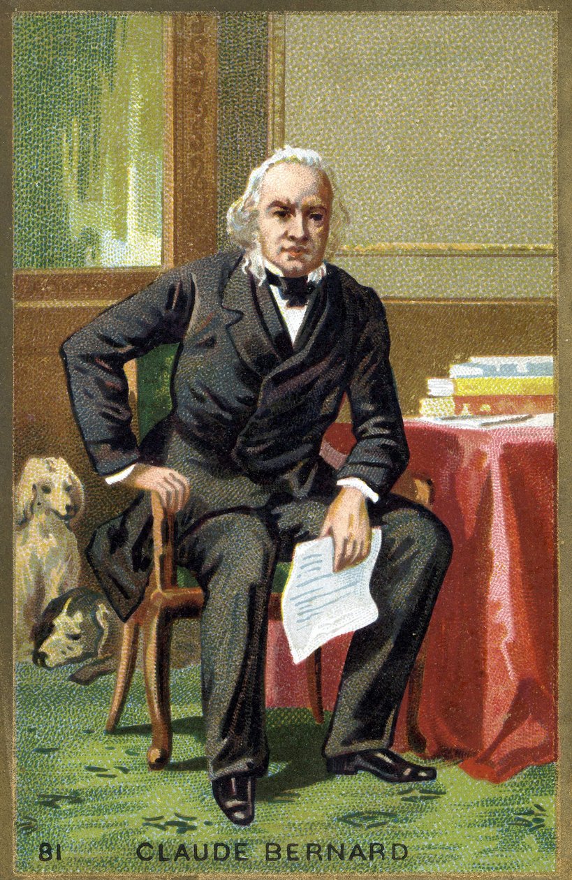 Retrato de Claude Bernard (1813 - 1878), fisiologista francês. Cromolitografia do século XIX. de Unknown artist