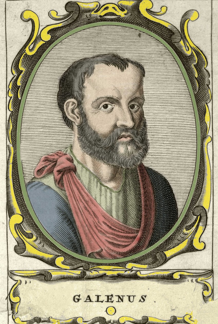 Retrato de Cláudio Galeno (Cláudio Galeno ou Cláudio Galeno ou Galeno, v. 131 - v. 201), médico grego. Gravura do século XVIII. de Unknown artist