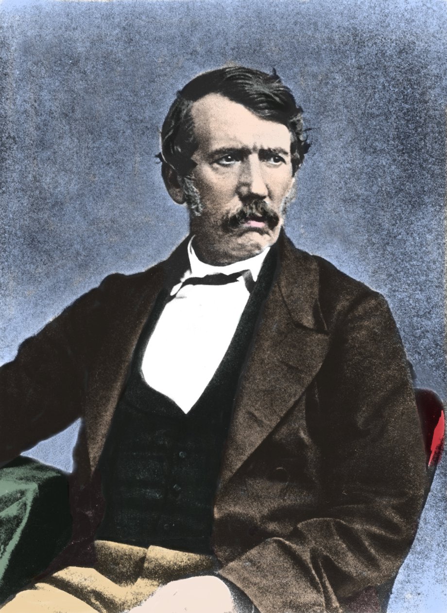 Retrato de David Livingstone (1813-1873) missionário e explorador escocês. de Unknown artist