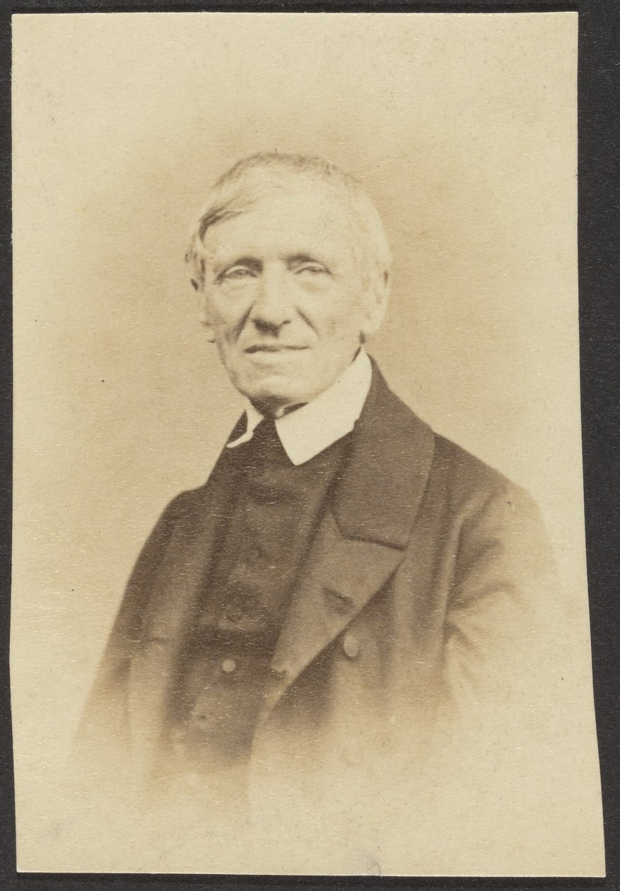Retrato do Dr. Newman de Unknown artist