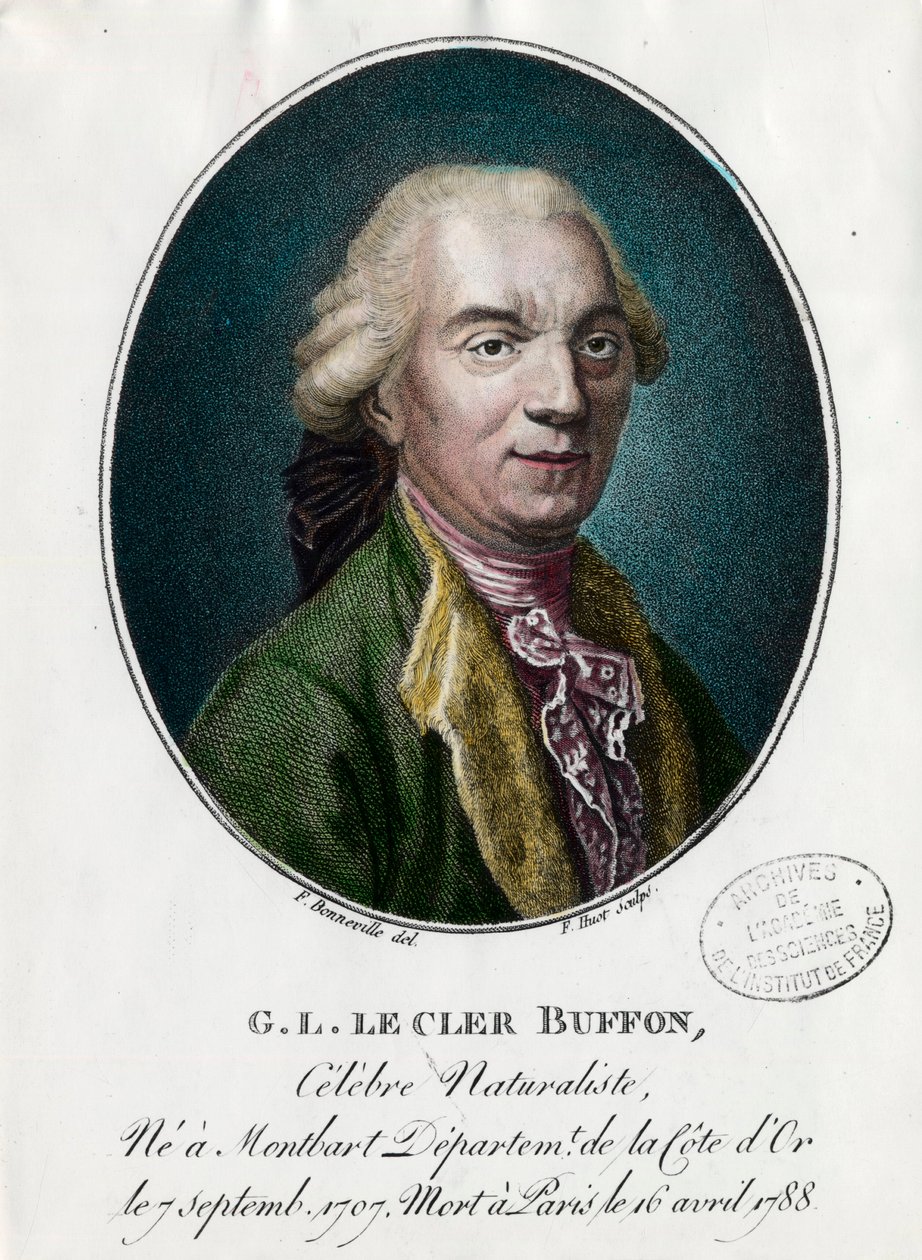 Retrato de George Louis Le Clerc, Conde de Buffon de Unknown artist