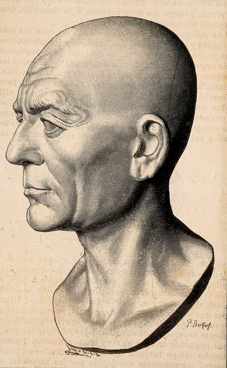Retrato de Publius Cornelius Scipio (Scipio o Africano) Africanus, estadista romano (235-183 AC). de Unknown artist