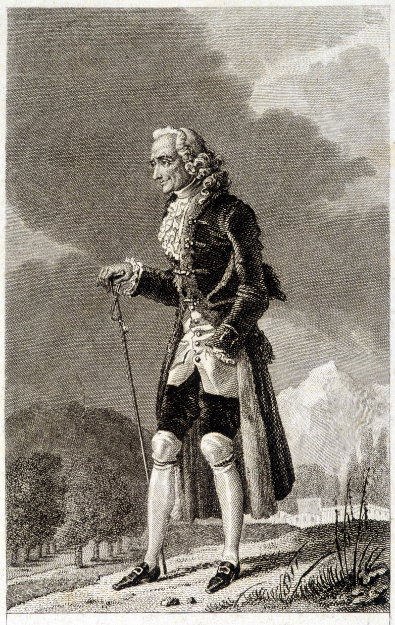 Retrato de Voltaire (1694 - 1778), escritor e filósofo francês, idoso. de Unknown artist