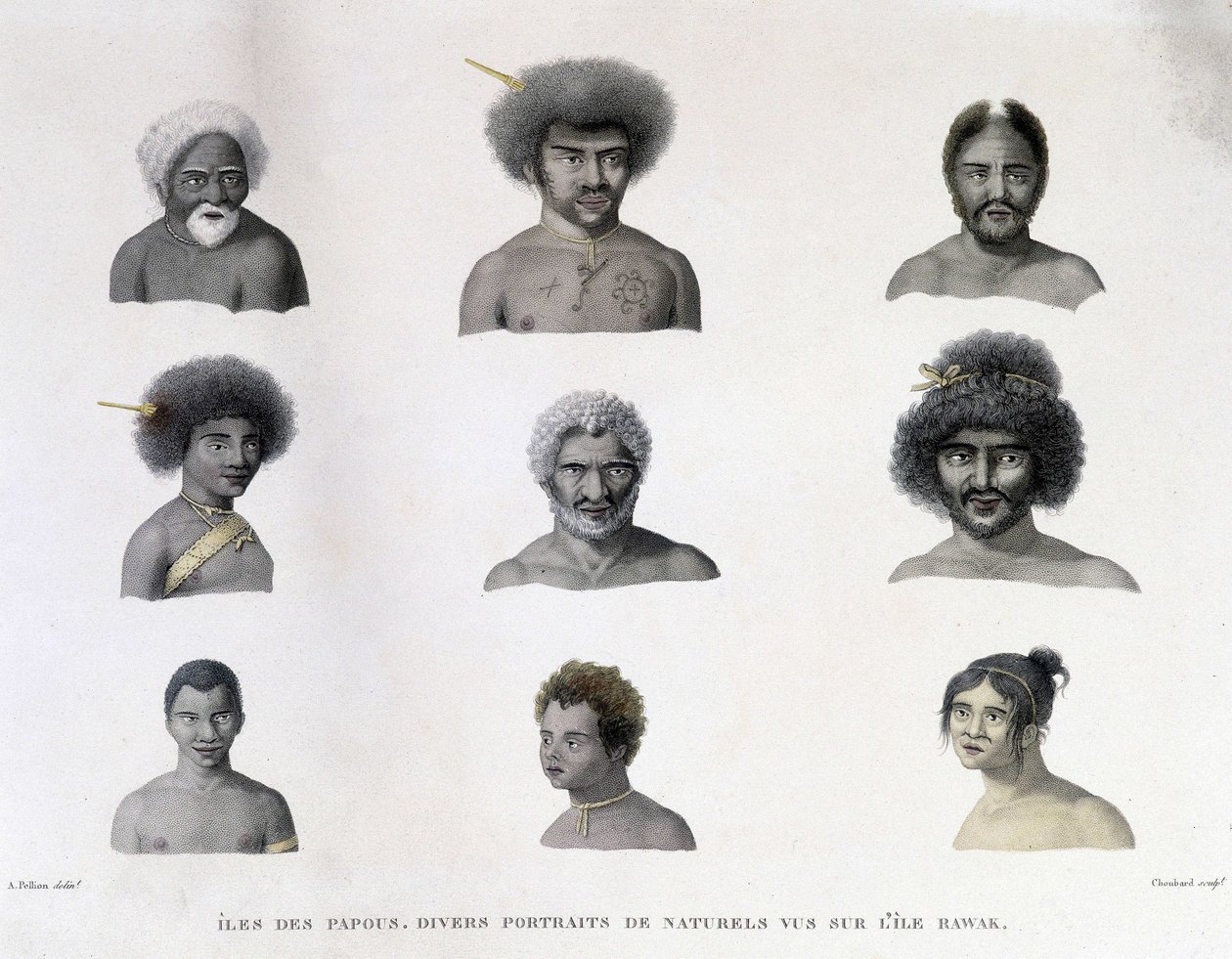 Retratos da Papua da Ilha Rawak. de Unknown artist