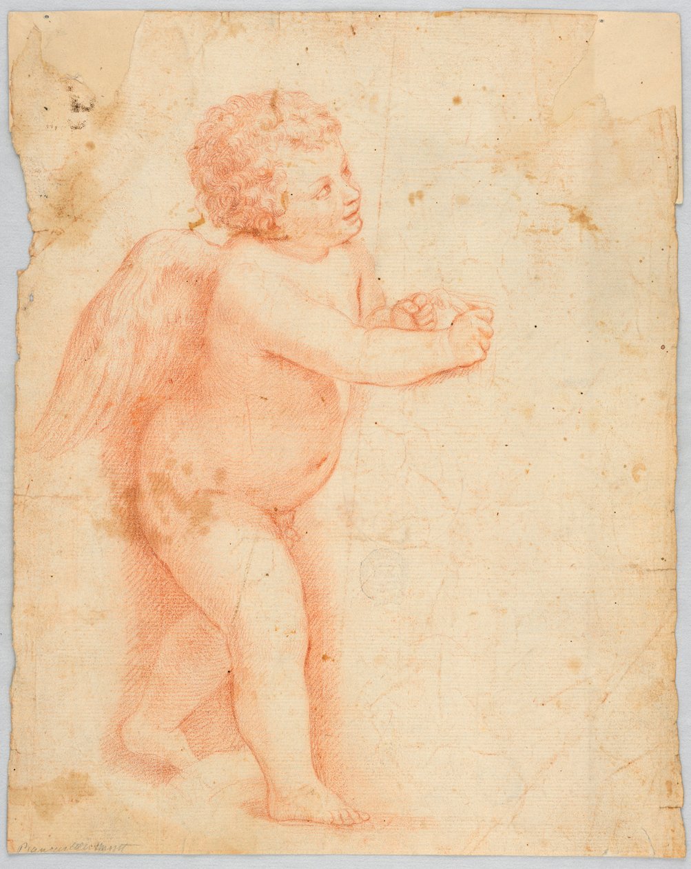 Putto fazendo um nó de Unknown artist
