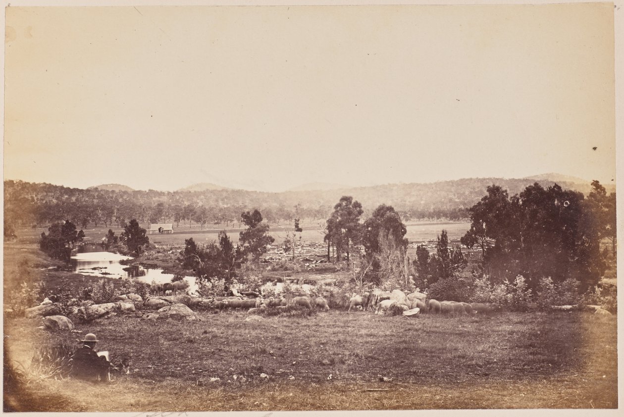 Rangers Valley, Nordeste, Glen Innes de Unknown artist