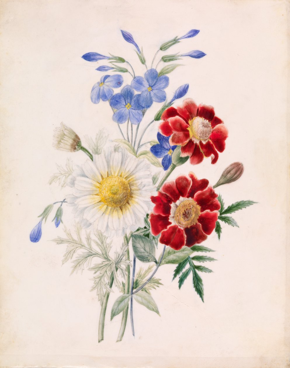 Flores Vermelhas e Azuis e Margarida Branca de Unknown artist