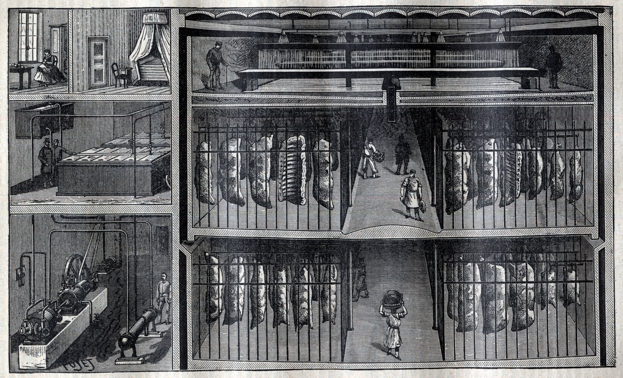 Armazéns frigoríficos para carne - Gravura de "La Science francaise de Unknown artist