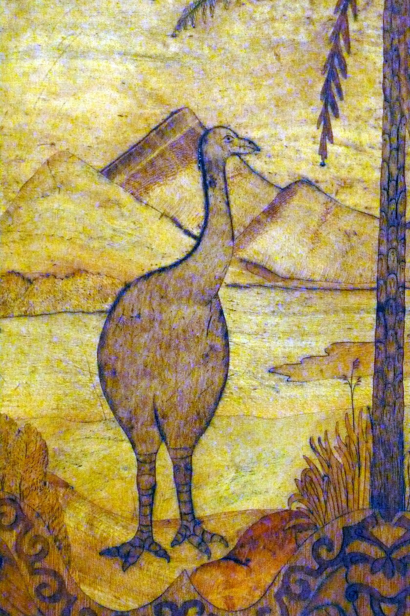 Representação de um Moa da Nova Zelândia, raça ténue de ave gigante incapaz de voar. Século XVIII de Unknown artist