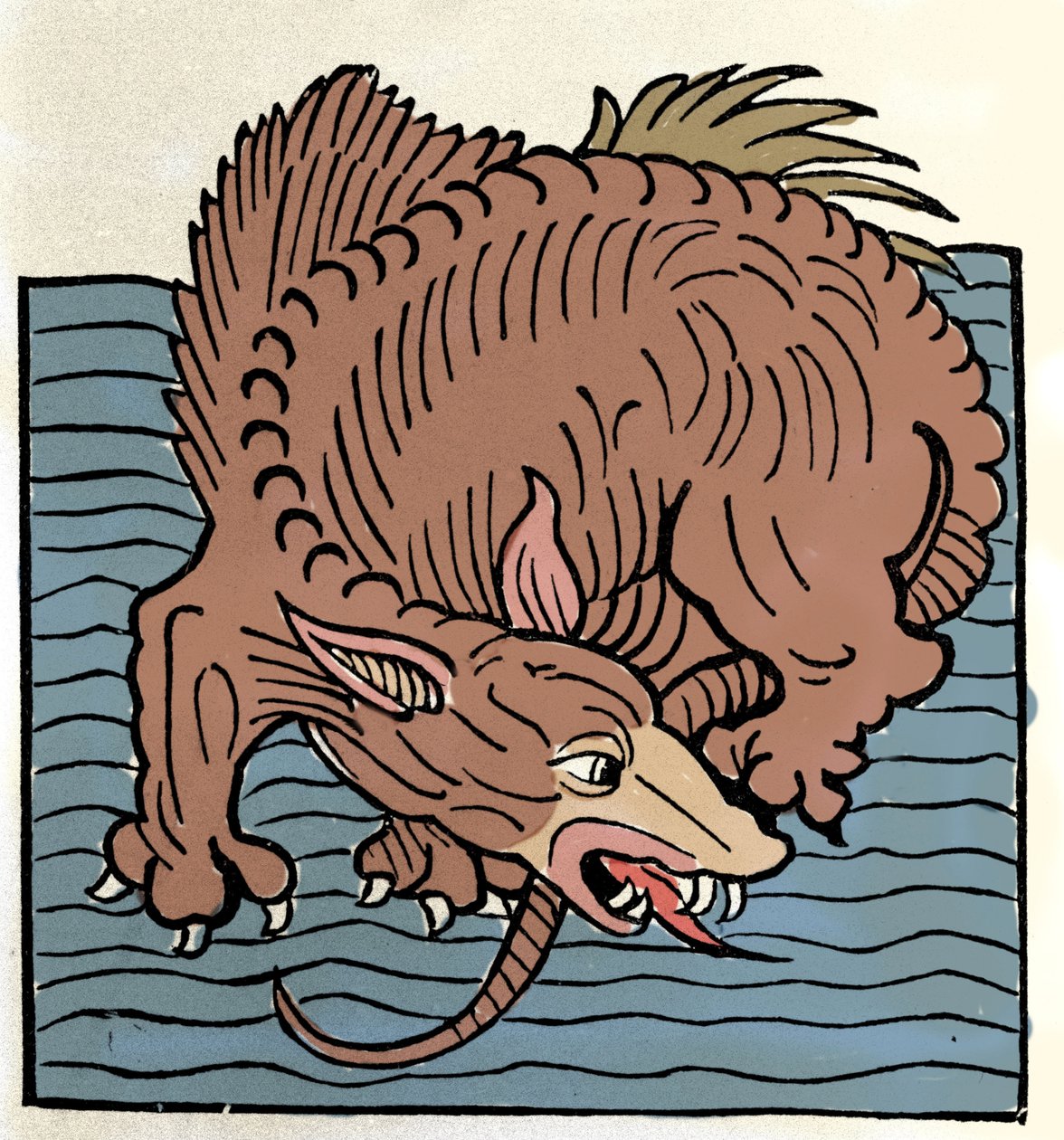 Representação de um monstro marinho. Gravura de "Hortus Sanitatis". de Unknown artist