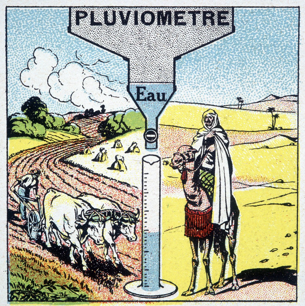 Representação de uma precipitação e dos efeitos da chuva em diferentes regiões e sua influência na agricultura. de Unknown artist