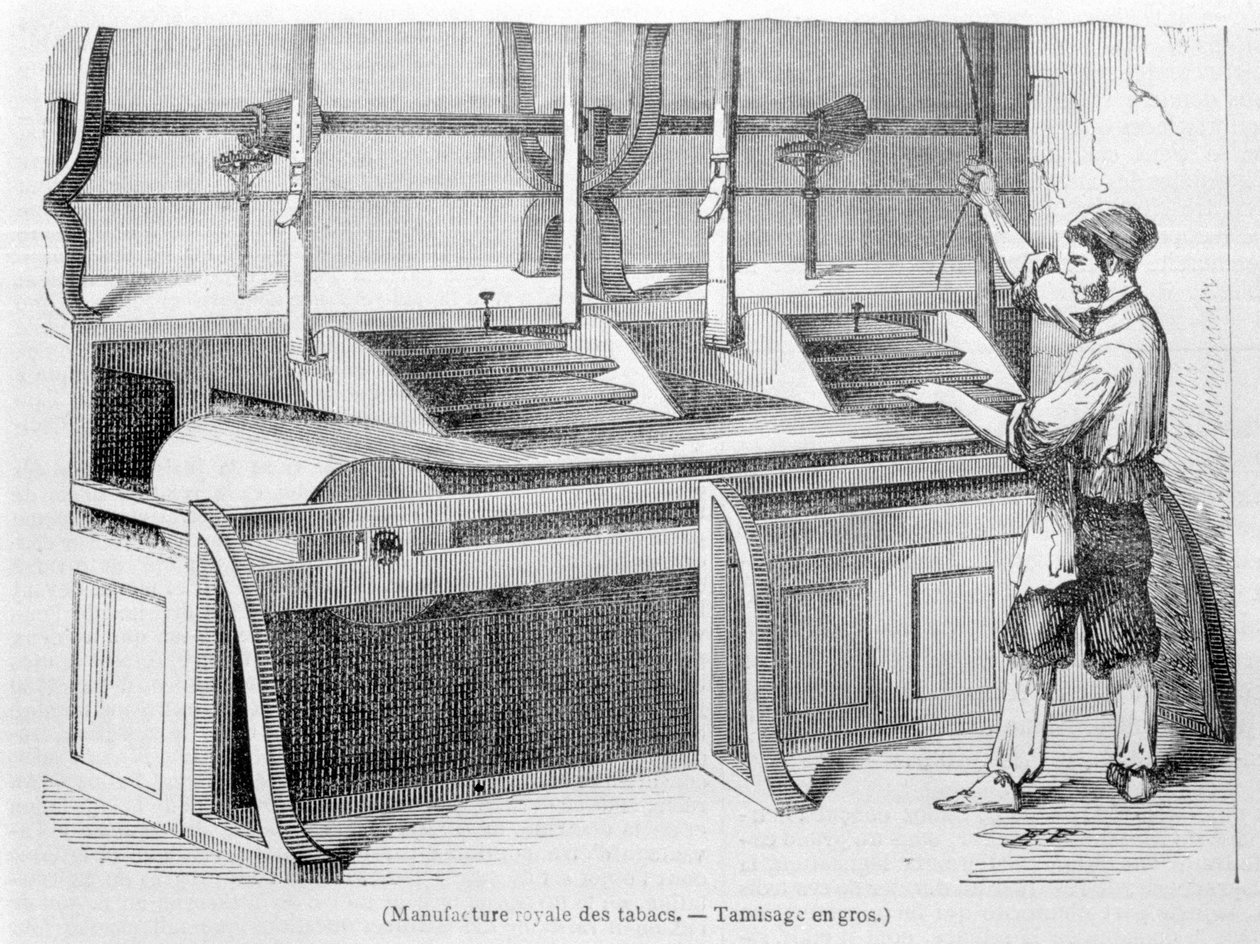 Royal Tobacco Factory: Peneiramento grossista de tabaco. Gravura do século XIX. de Unknown artist