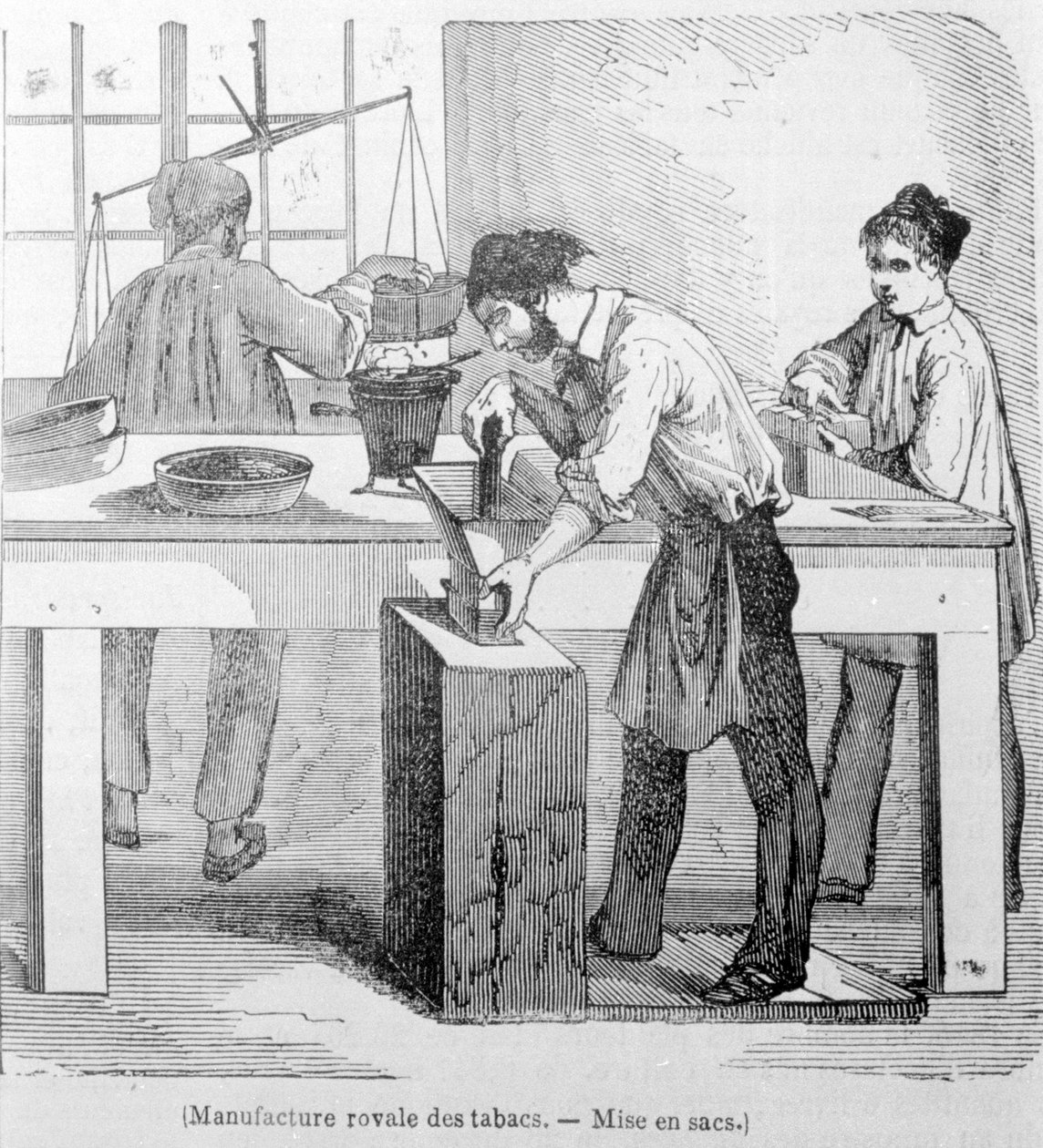 Royal Tobacco Manufacture: o saco de tabaco. Gravura do século XIX. de Unknown artist