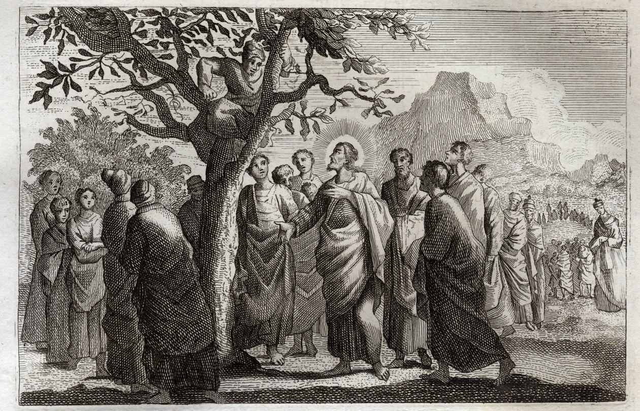 Bíblia de Royaumont, Novo Testamento: Conversão de Zachee. Jesus Cristo falando com Zachee empoleirando-se no plátano. Ilustração de 1811. de Unknown artist