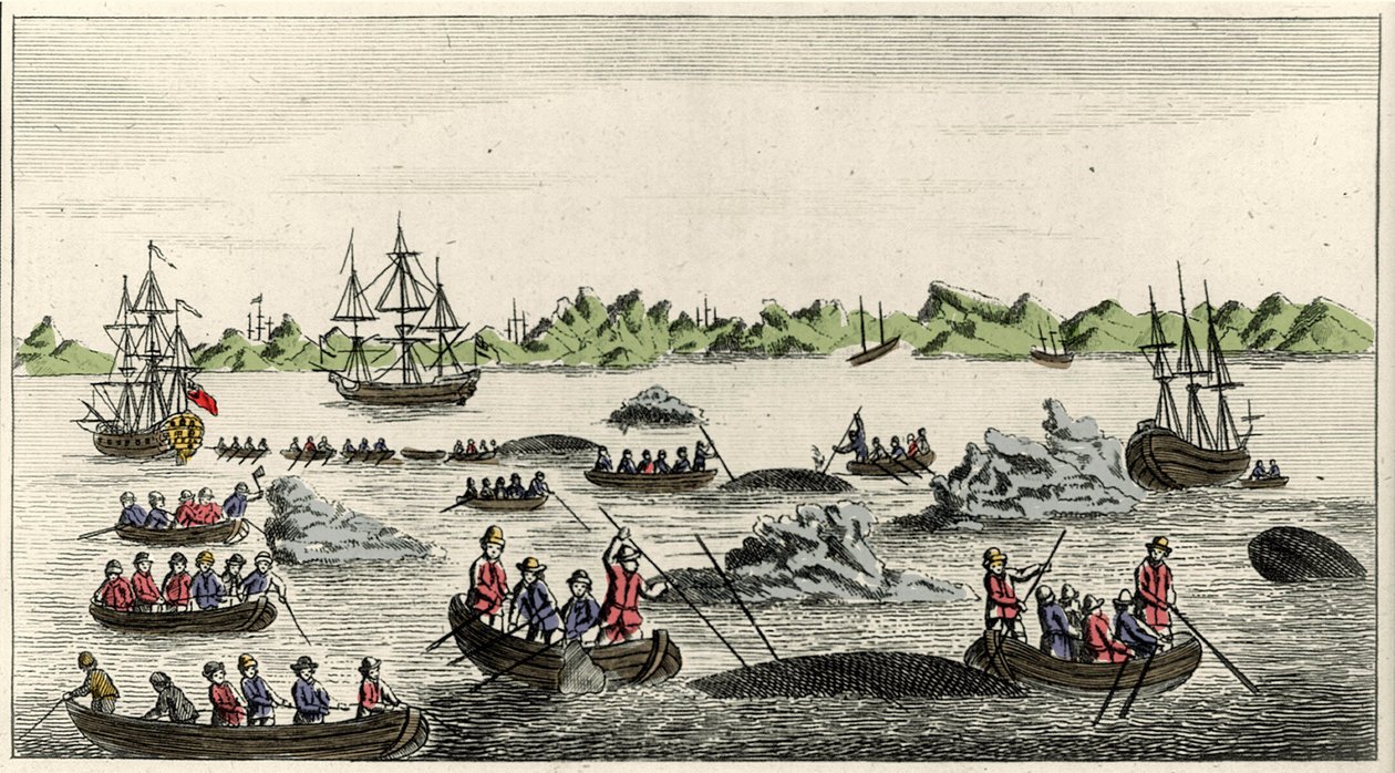Cena da pesca da baleia na Gronelândia no século XVIII, impressão popular anónima do período de Unknown artist
