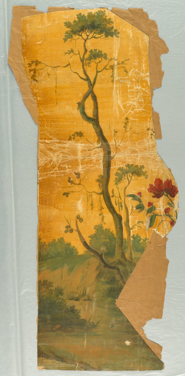 Cênica de Unknown artist