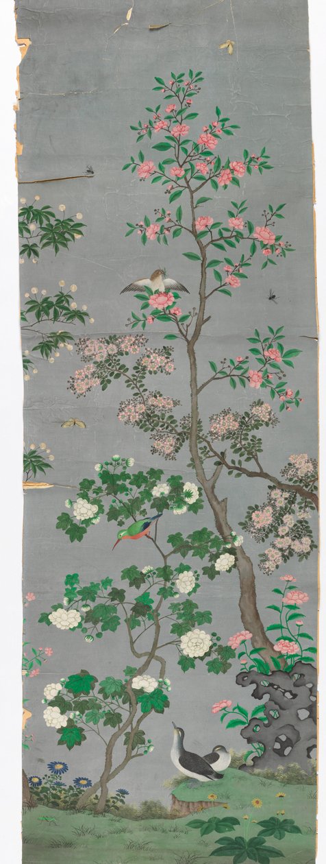 Cênica de Unknown artist