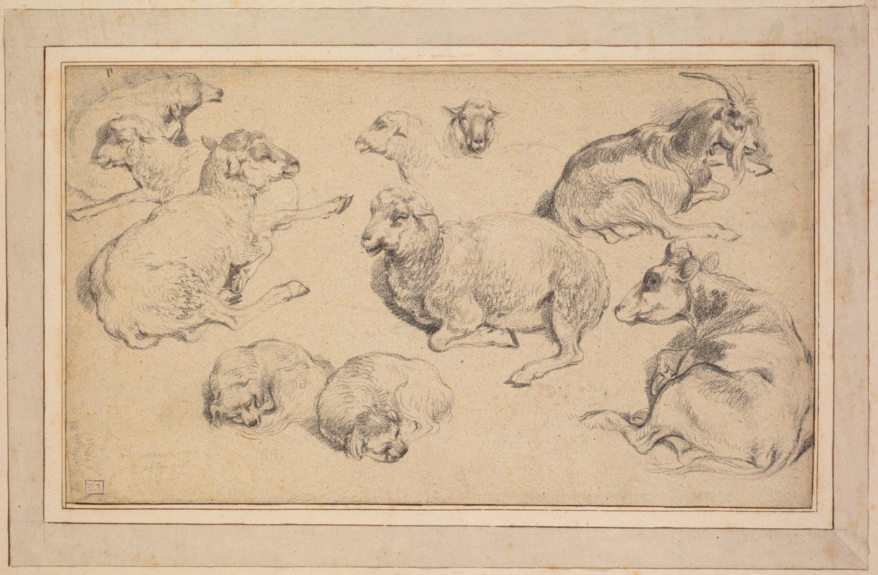 Folha de estudos com ovelhas, cabras e cães de Unknown artist
