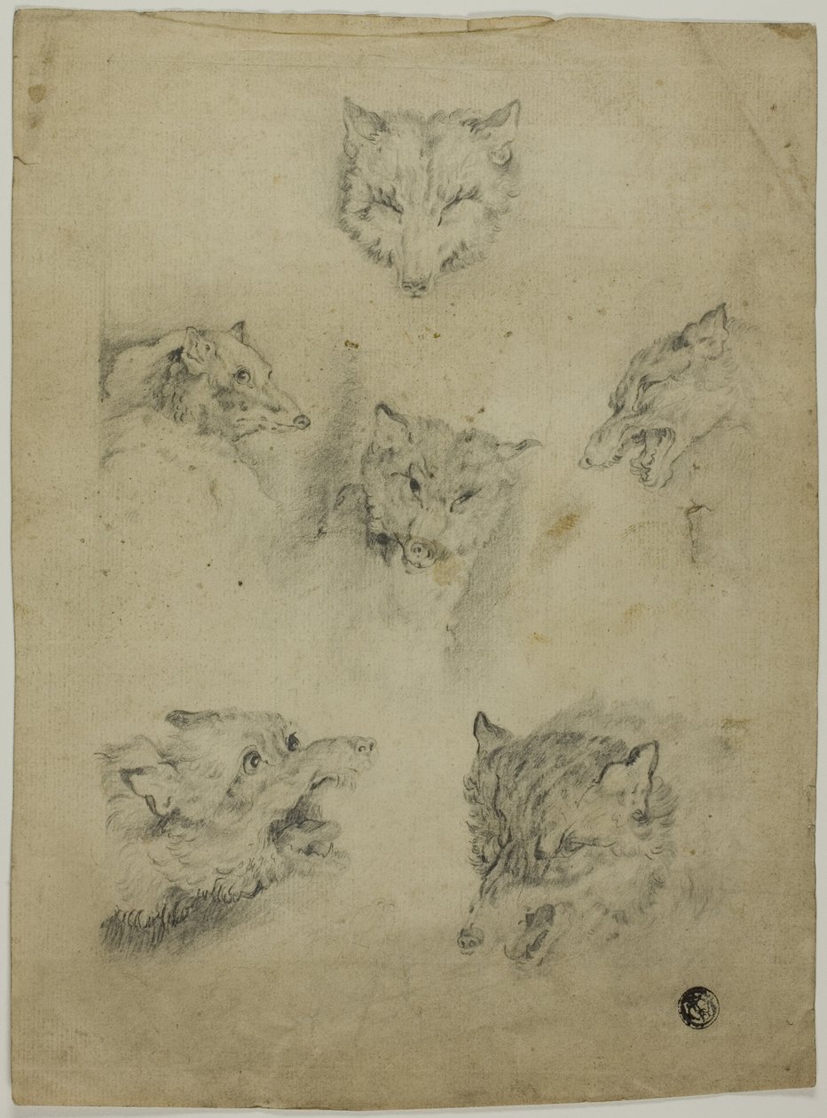 Seis esboços de cabeças de lobo de Unknown artist