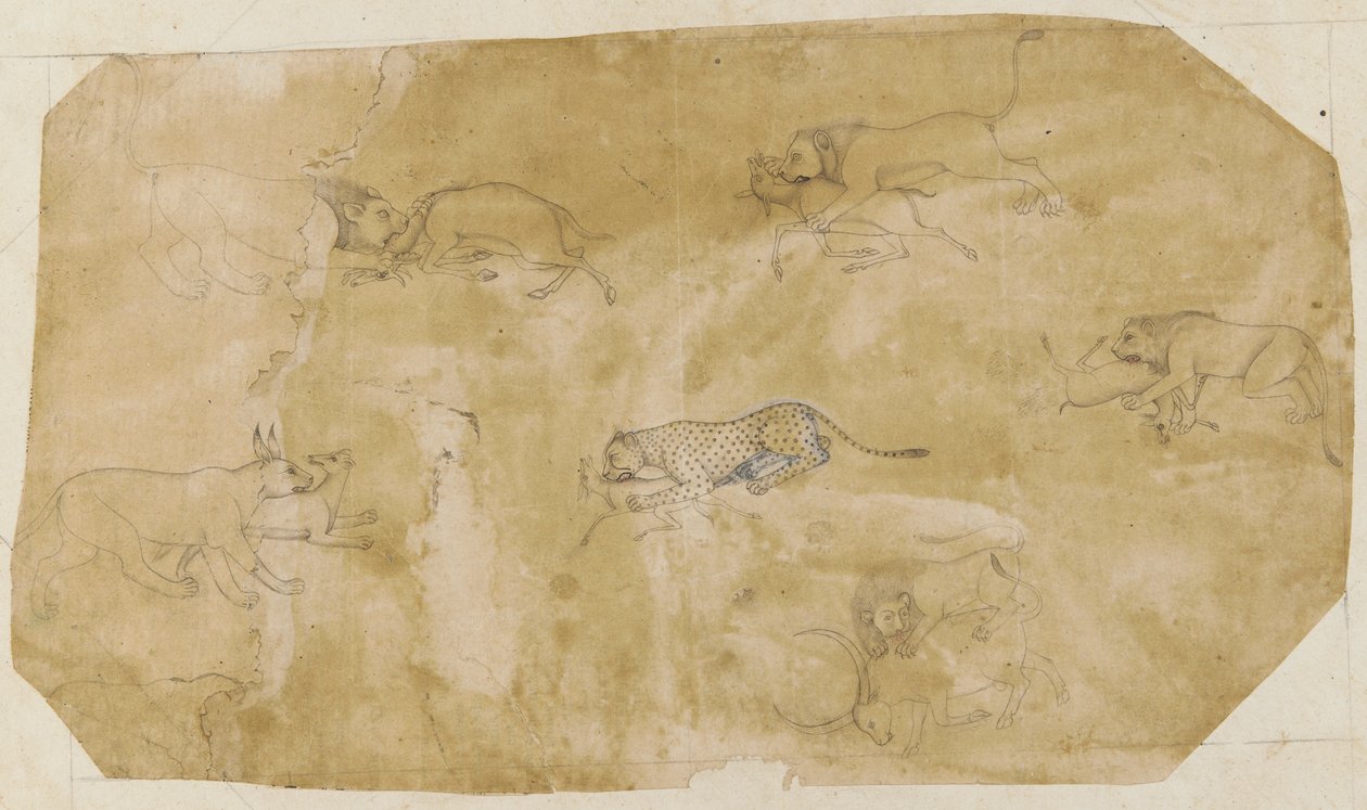 Seis grupos de animais de luta de Unknown artist